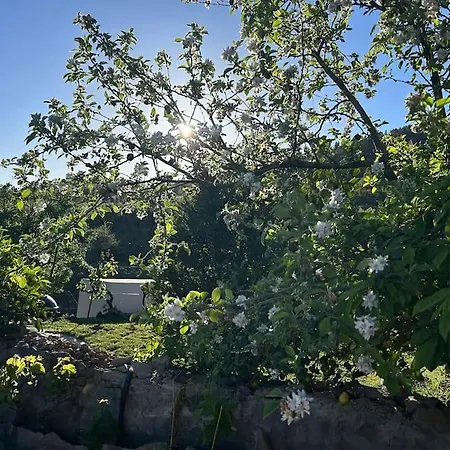 Lilly's - Romantischter Rueckzugsort - Pool Σπίτι διακοπών