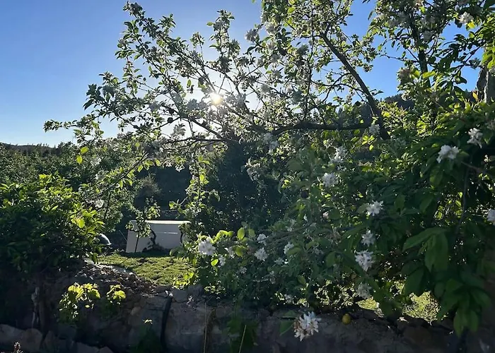 Lilly's - Romantischter Rueckzugsort - Pool Σπίτι διακοπών