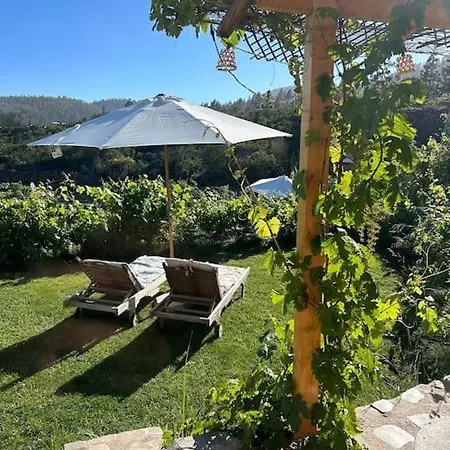 Lilly's - Romantischter Rueckzugsort - Pool * Vilaflor