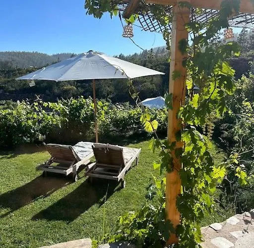 Lilly's - Romantischter Rueckzugsort - Pool * Vilaflor