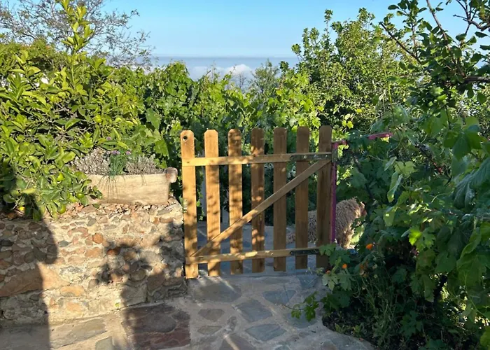 Lilly's - Romantischter Rueckzugsort - Pool Feriehus Vilaflor